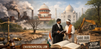Understanding the Rise of Environmental Law Litigation India in Modern Development Environmental law litigation India